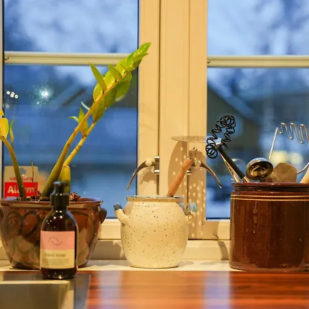 Mini Sakrisoy Apartment Reine