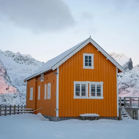 Mini Sakrisoy * Reine